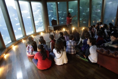 El Aquarium Finisterrae ofrece visitas y actividades específicas a los centros Voz Natura